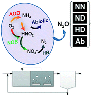 Graphical abstract: A consilience model to describe N2O production during biological N removal