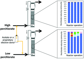 Graphical abstract: Evaluation of electron donors for biological perchlorate removal highlights the importance of diverse perchlorate-reducing populations