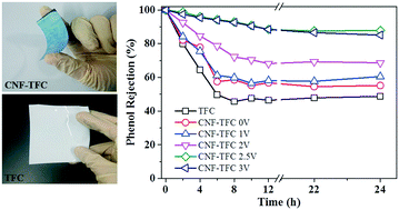 Graphical abstract: Development of electro-active forward osmosis membranes to remove phenolic compounds and reject salts