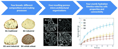 Graphical abstract: Kinetics of bread crumb hydration as related to porous microstructure
