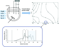 Graphical abstract: Modelling of the production of ACE inhibitory hydrolysates of horse mackerel using proteases mixtures