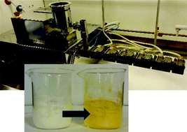 Graphical abstract: Organic synthesis by Twin Screw Extrusion (TSE): continuous, scalable and solvent-free