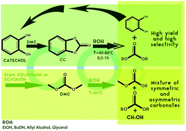 Graphical abstract: The design of efficient carbonate interchange reactions with catechol carbonate