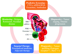 Graphical abstract: Liquid biopsy on chip: a paradigm shift towards the understanding of cancer metastasis