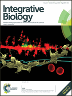 Graphical abstract: Front cover