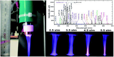 Graphical abstract: Development and characterization of a multi-electrode cold atmospheric pressure DBD plasma jet aiming plasma application