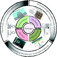 Graphical abstract: Gel integration for microfluidic applications