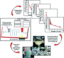 Graphical abstract: A microdevice assisted approach for the preparation, characterization and selection of continuous aqueous two-phase systems: from micro to bench-scale