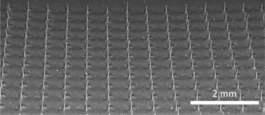 Graphical abstract: A continuous roll-pulling approach for the fabrication of magnetic artificial cilia with microfluidic pumping capability