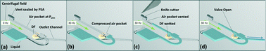 Graphical abstract: Xurography actuated valving for centrifugal flow control