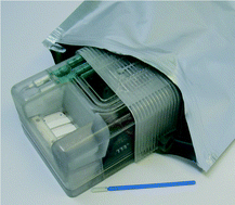 Graphical abstract: A rapid, instrument-free, sample-to-result nucleic acid amplification test