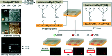 Graphical abstract: Thermally robust and biomolecule-friendly room-temperature bonding for the fabrication of elastomer–plastic hybrid microdevices