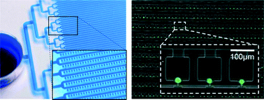 Graphical abstract: Scaling and automation of a high-throughput single-cell-derived tumor sphere assay chip