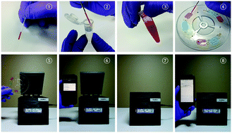Graphical abstract: A field-deployable mobile molecular diagnostic system for malaria at the point of need