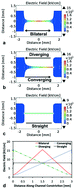 Graphical abstract: High efficiency hydrodynamic bacterial electrotransformation