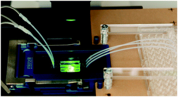 Graphical abstract: Resealable, optically accessible, PDMS-free fluidic platform for ex vivo interrogation of pancreatic islets