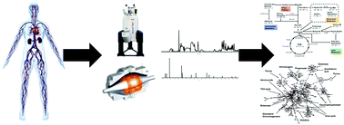 Graphical abstract: Metabolomics in diabetic complications