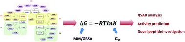 Graphical abstract: A systematic molecular dynamics approach to the study of peptide Keap1–Nrf2 protein–protein interaction inhibitors and its application to p62 peptides