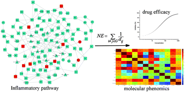 Graphical abstract: Inflammatory pathway network-based drug repositioning and molecular phenomics