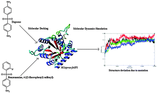 Graphical abstract: Discovery of a potential lead compound for treating leprosy with dapsone resistance mutation in M. leprae folP1