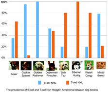 Graphical abstract: Application of post-genomic techniques in dog cancer research