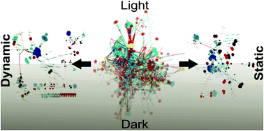 Graphical abstract: Systems level analysis of the Chlamydomonas reinhardtii metabolic network reveals variability in evolutionary co-conservation