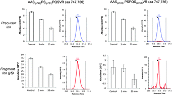 Graphical abstract: Differential quantification of isobaric phosphopeptides using data-independent acquisition mass spectrometry