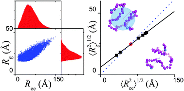Graphical abstract: Dimension conversion and scaling of disordered protein chains