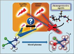 Graphical abstract: Tuning the metabolism of the anticancer drug cisplatin with chemoprotective agents to improve its safety and efficacy