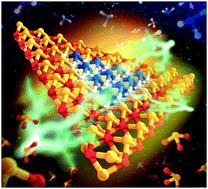 Graphical abstract: High-efficiency omnidirectional photoresponses based on monolayer lateral p–n heterojunctions