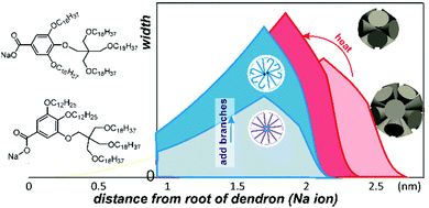 Graphical abstract: Body-centred cubic packing of spheres – the ultimate thermotropic assembly mode for highly divergent dendrons