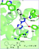 Graphical abstract: An ionic liquid promoted approach to bitriazolyl compounds as succinate–ubiquinone oxidoreductase inhibitors