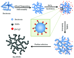 Graphical abstract: Biologically inspired self-assembly of bacitracin-based platinum nanoparticles with anti-tumor effects