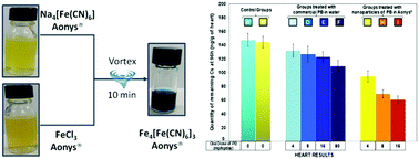 Graphical abstract: In situ synthesis of Prussian blue nanoparticles within a biocompatible reverse micellar system for in vivo Cs+ uptake