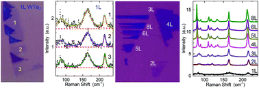 Graphical abstract: Single- and few-layer WTe2 and their suspended nanostructures: Raman signatures and nanomechanical resonances