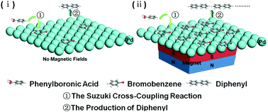 Graphical abstract: The effect of external magnetic fields on the catalytic activity of Pd nanoparticles in Suzuki cross-coupling reactions