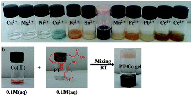 Graphical abstract: A Co2+-selective and chirality-sensitive supermolecular metallohydrogel with a nanofiber network skeleton