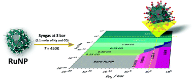 Graphical abstract: Theoretical characterization of the surface composition of ruthenium nanoparticles in equilibrium with syngas