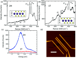 Graphical abstract: Dynamics of chemical vapor sensing with MoS2 using 1T/2H phase contacts/channel