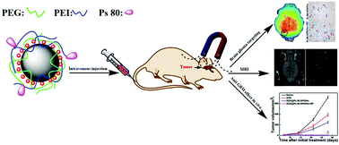 Graphical abstract: Glioma-targeted superparamagnetic iron oxide nanoparticles as drug-carrying vehicles for theranostic effects