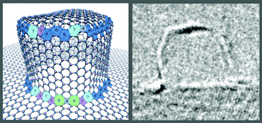 Graphical abstract: Growth of single-layer boron nitride dome-shaped nanostructures catalysed by iron clusters