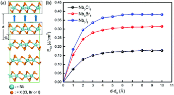 Graphical abstract: Exploration of new ferromagnetic, semiconducting and biocompatible Nb3X8 (X = Cl, Br or I) monolayers with considerable visible and infrared light absorption
