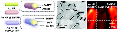 Graphical abstract: Rationally encapsulated gold nanorods improving both linear and nonlinear photoacoustic imaging contrast in vivo