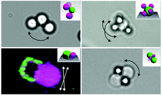 Graphical abstract: Colloidal joints with designed motion range and tunable joint flexibility