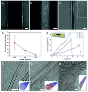 Graphical abstract: Inter-allotropic transformations in the heterogeneous carbon nanotube networks