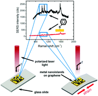 Graphical abstract: SERS-enhanced piezoplasmonic graphene composite for biological and structural strain mapping
