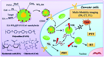 Graphical abstract: A triple-synergistic strategy for combinational photo/radiotherapy and multi-modality imaging based on hyaluronic acid-hybridized polyaniline-coated WS2 nanodots