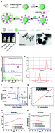 Graphical abstract: A “win–win” nanoplatform: TiO2:Yb,Ho,F for NIR light-induced synergistic therapy and imaging