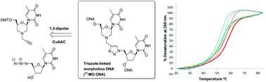 Graphical abstract: Synthesis of triazole-linked morpholino oligonucleotides via CuI catalysed cycloaddition