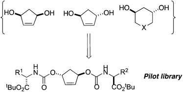 Graphical abstract: Synthesis of cyclic 1,3-diols as scaffolds for spatially directed libraries